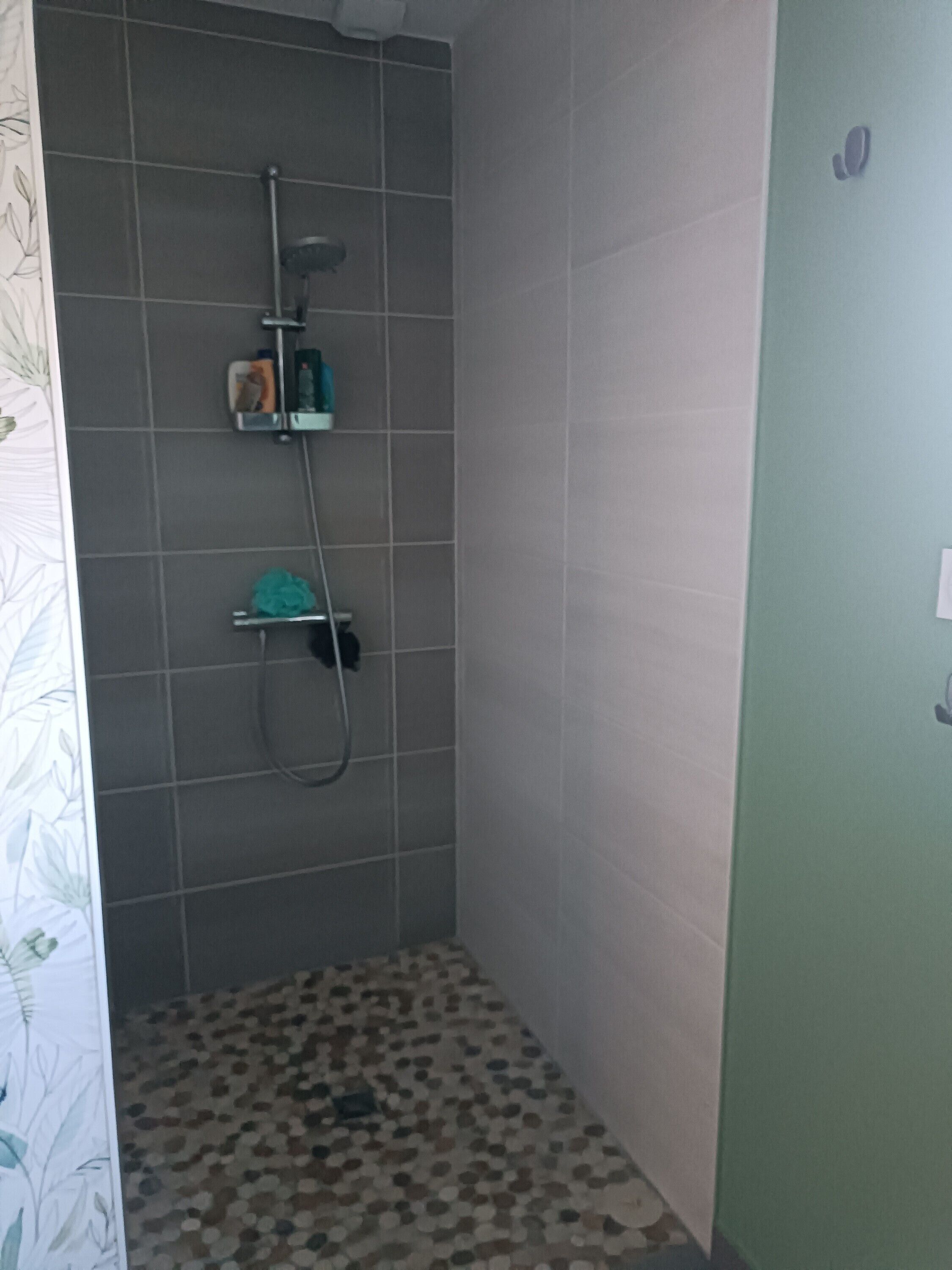 Ducha, secador de pelo, toallas