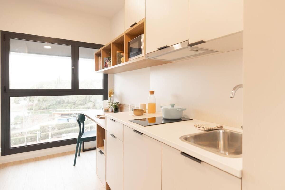 Basic Studio Suite | Private kitchen | Microwave, stovetop