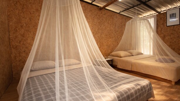 A bedroom with two beds, each covered with a canopy. The room has wooden walls and a sloped ceiling with exposed beams.