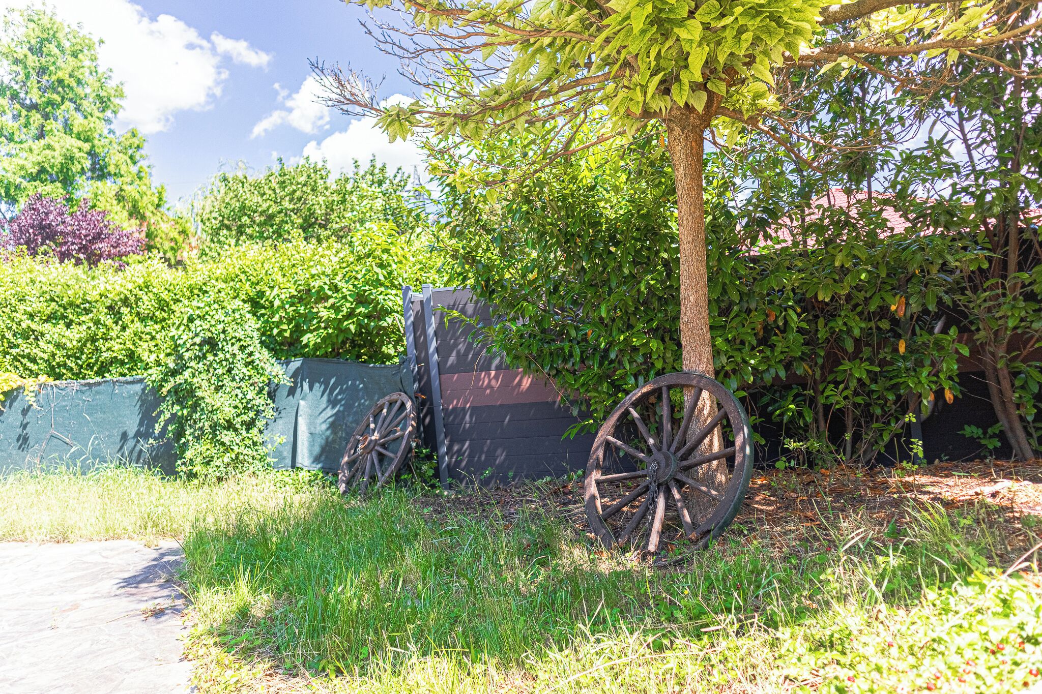 Eenvoudig appartement | Terrein van de accommodatie