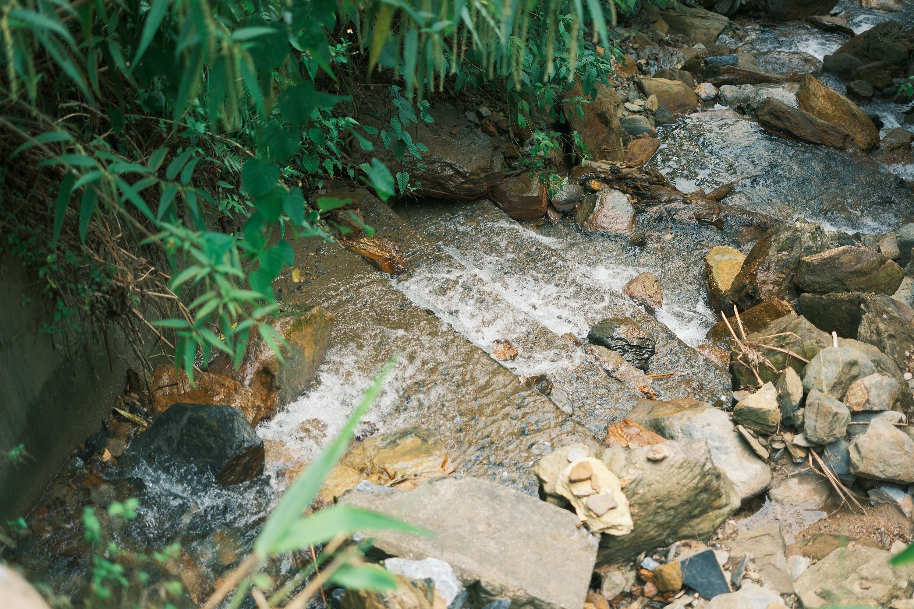 A rocky stream with water flowing over rocks and surrounded by greenery.
