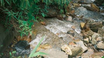 A rocky stream with water flowing over rocks and surrounded by greenery.
