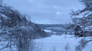 Schneebedeckte Landschaft mit einem Haus und Bäumen.
