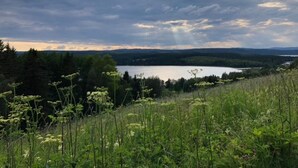 Eine natürliche Landschaft mit einem See, bewaldeten Hügeln und einem bewölkten Himmel.