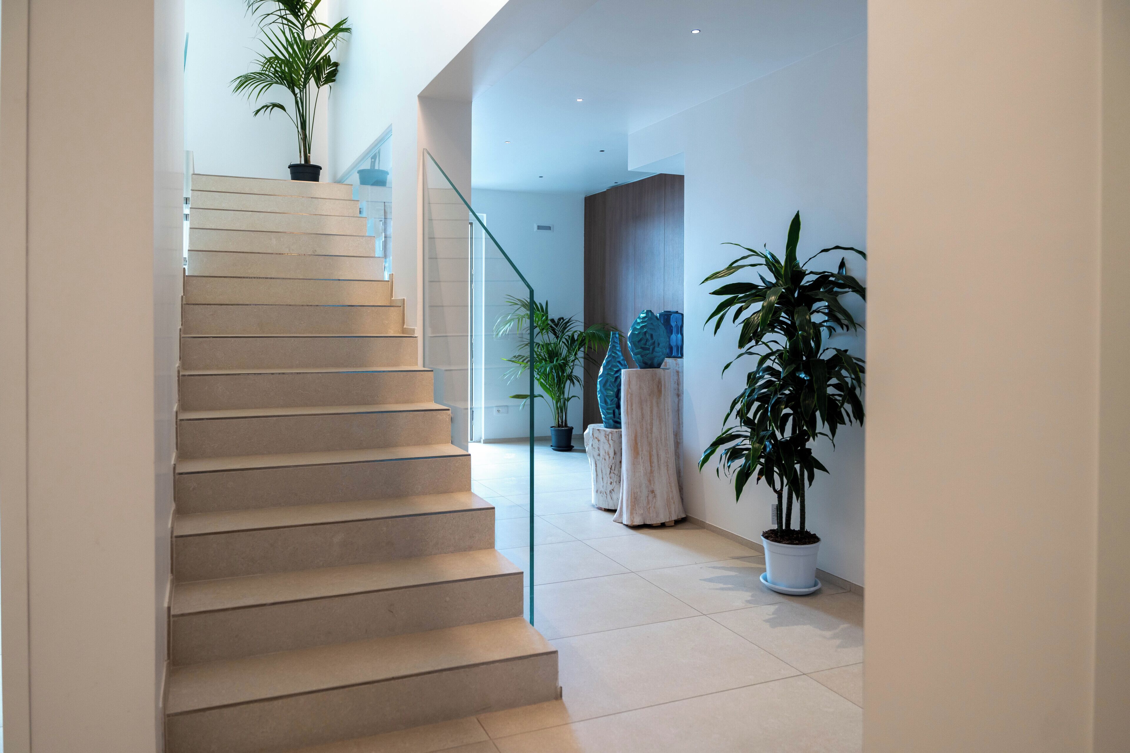 A modern interior with a staircase, potted plants, and minimalist decor.