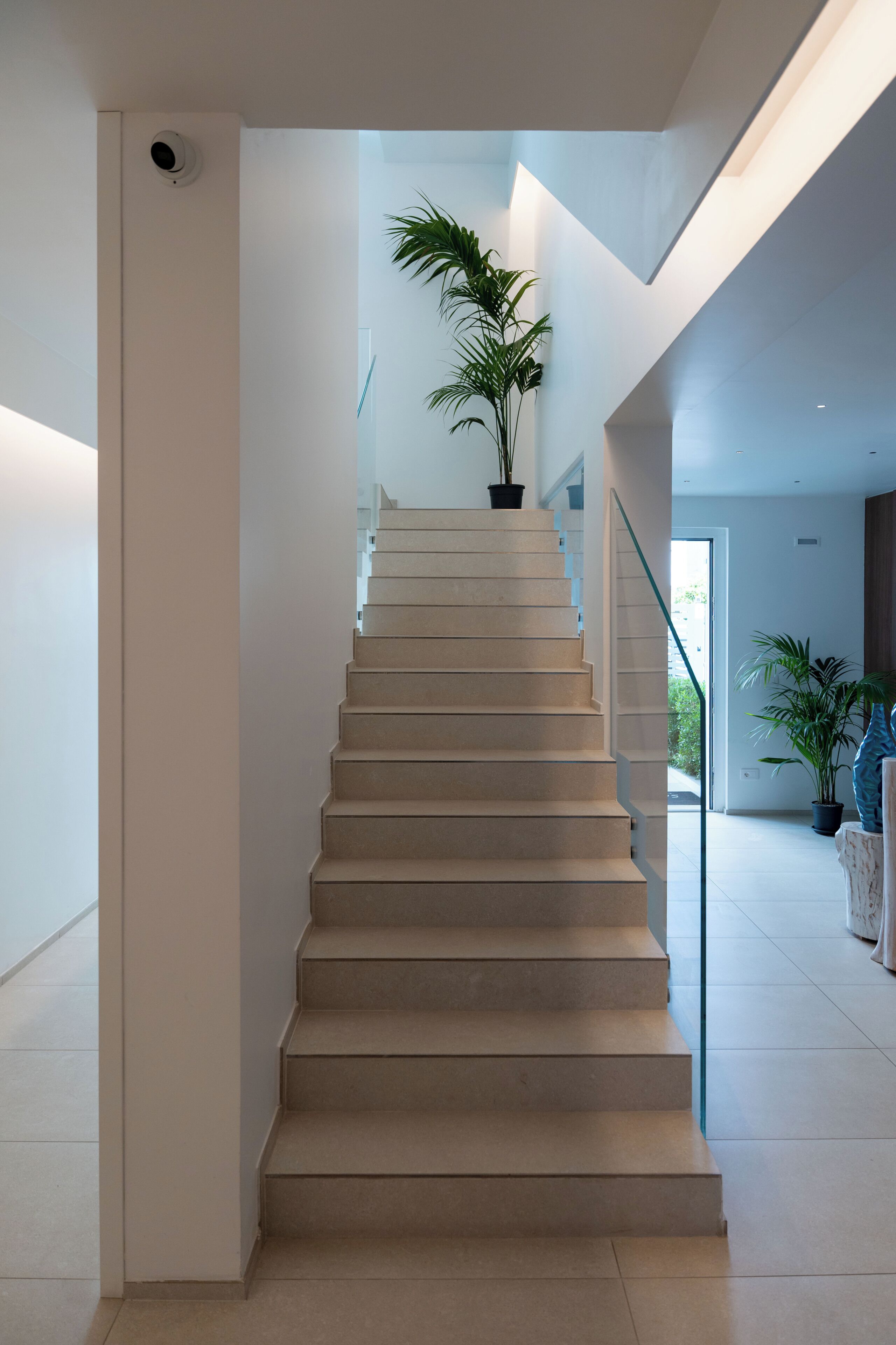 Una escalera moderna con una planta en un rellano.