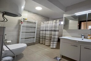 Shower, hair dryer, bidet, towels