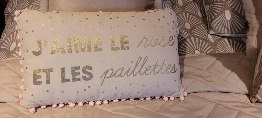 A decorative pillow with text in French.