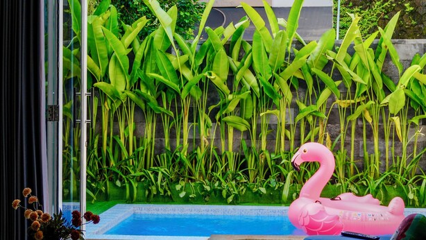Ein Zimmer mit einer großen Glasschiebetür, die zu einem Poolbereich führt, einem blauen Sofa, einem kleinen Tisch und einem pinken Flamingo-Schwimmpfad.