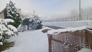 A rural landscape with a snow-covered road, a wooden fence, and a vineyard in the background.