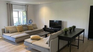 A modern living room with a sofa, ottoman, TV, and a small table with plants.