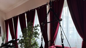 A room with a hanging chair, a potted plant, and a piano. - Red Silence I Design Suite near Koblenz I Experience, Not Standard (Bendorf)