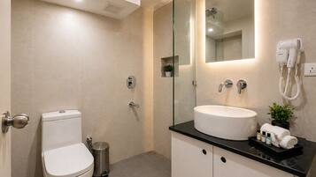 Shower, hydromassage showerhead, designer toiletries, hair dryer