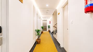 A hotel hallway with a yellow tactile path, potted plants, a fire extinguisher, and a sign indicating room number 205.