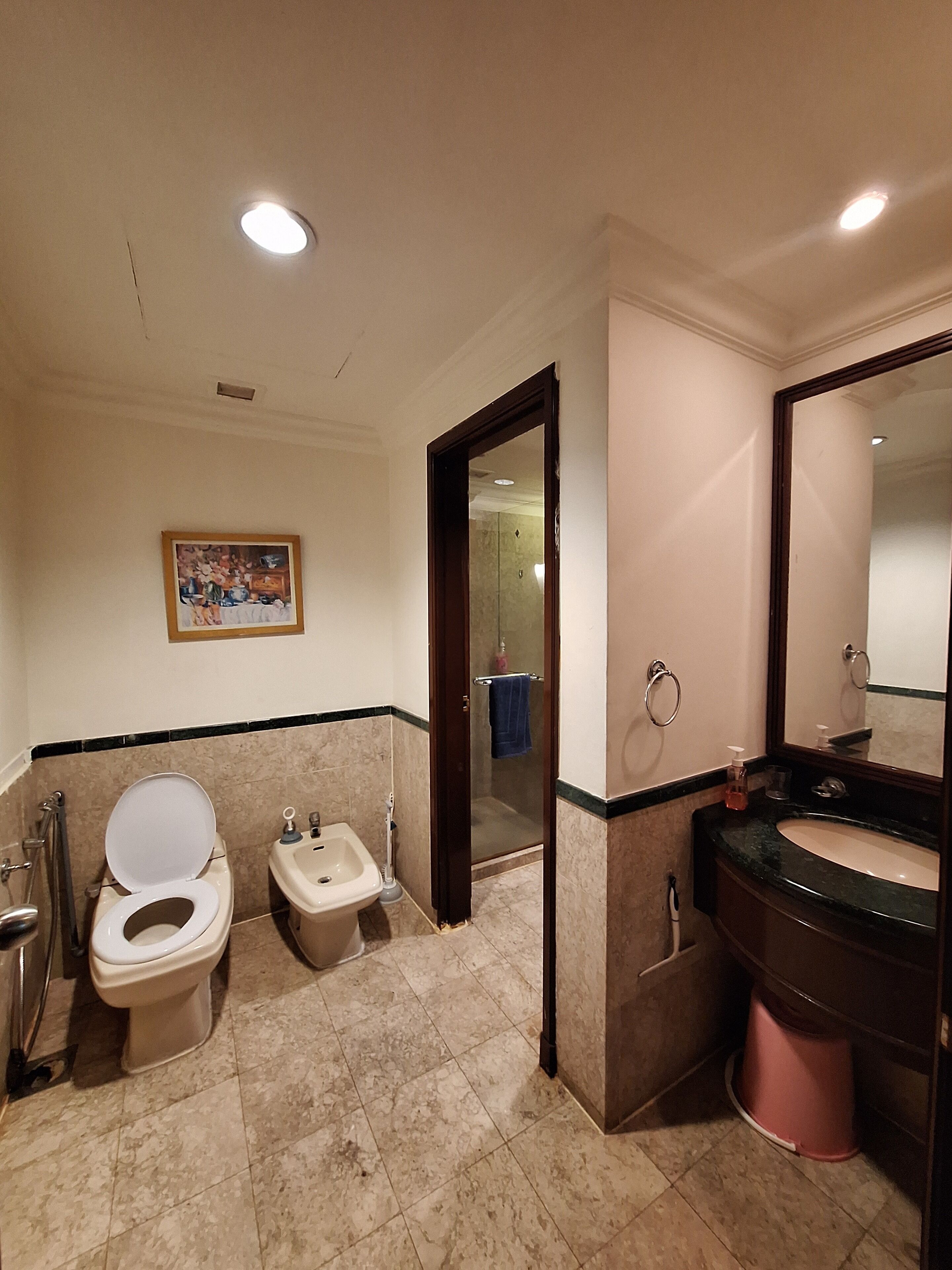 Un baño con inodoro, bidé, lavabo y espejo.