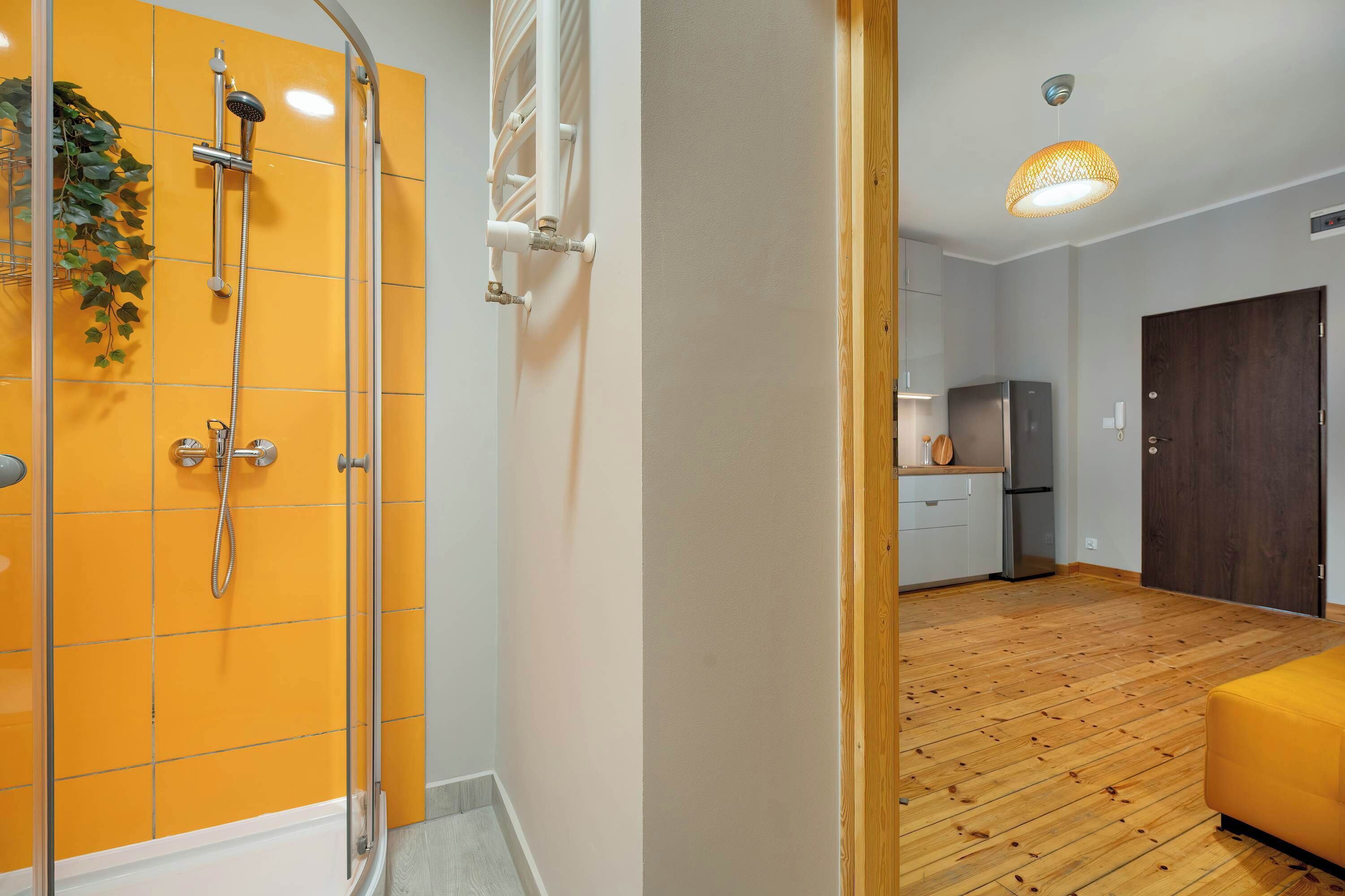 Shower, hair dryer, towels, shampoo