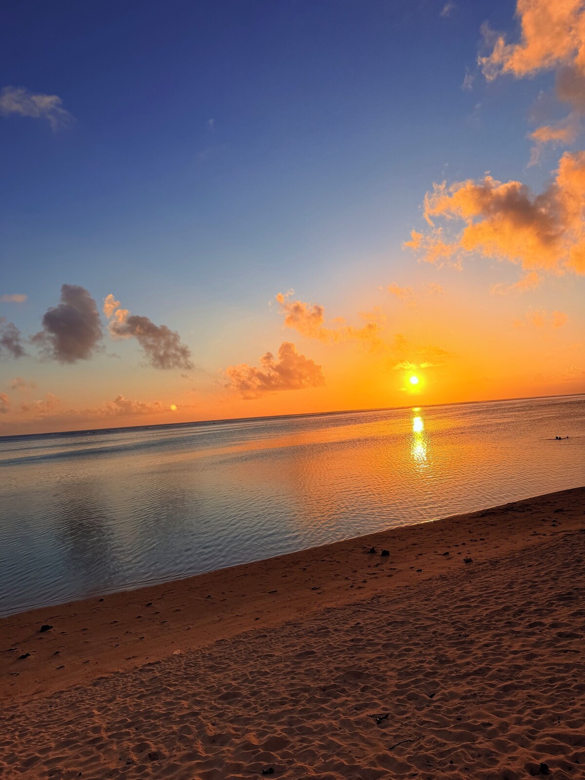 Imagen de perfil del propietario o de la propietaria