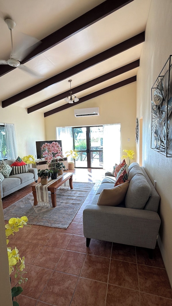 Televisión y chimenea