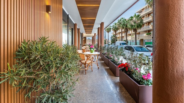 A corridor with wooden paneling, outdoor seating, and potted plants. - Stylish Residence House in Alghero (Alghero)