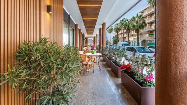 A corridor with wooden paneling, outdoor seating, and potted plants. - Charming and Comfy Apartment in Alghero (Alghero)