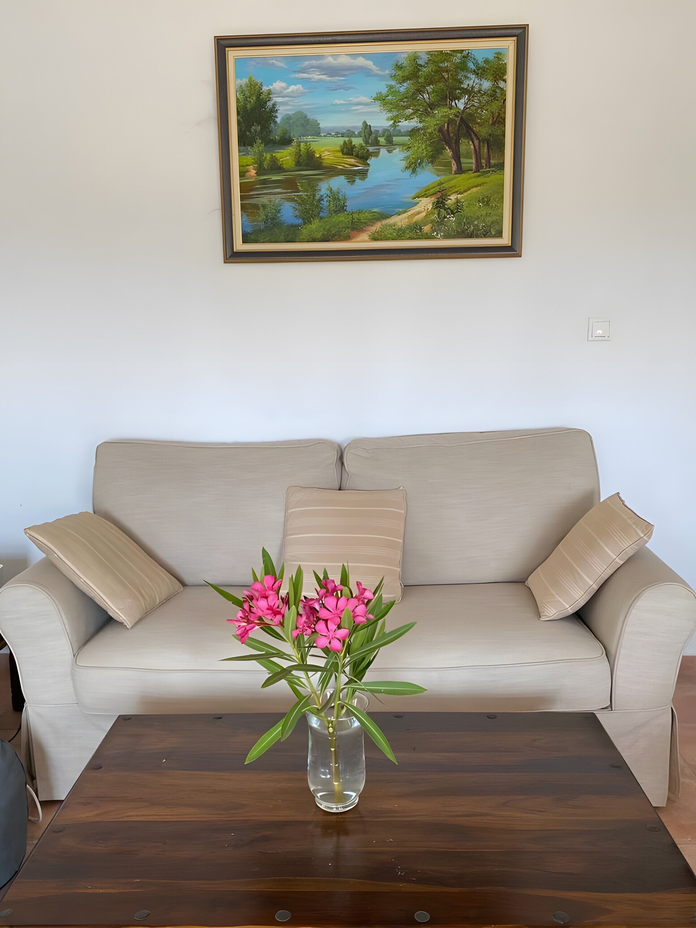 TV, peis og bordtennis