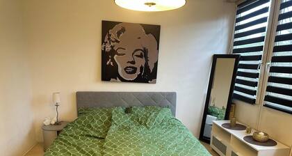 Room-in the Heart of the City of Salzbur