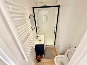 A compact bathroom with a glass shower enclosure, a white toilet, and a small sink with a mirror. - Upscale 4-bedroom apartment with large balcony (Toulon)