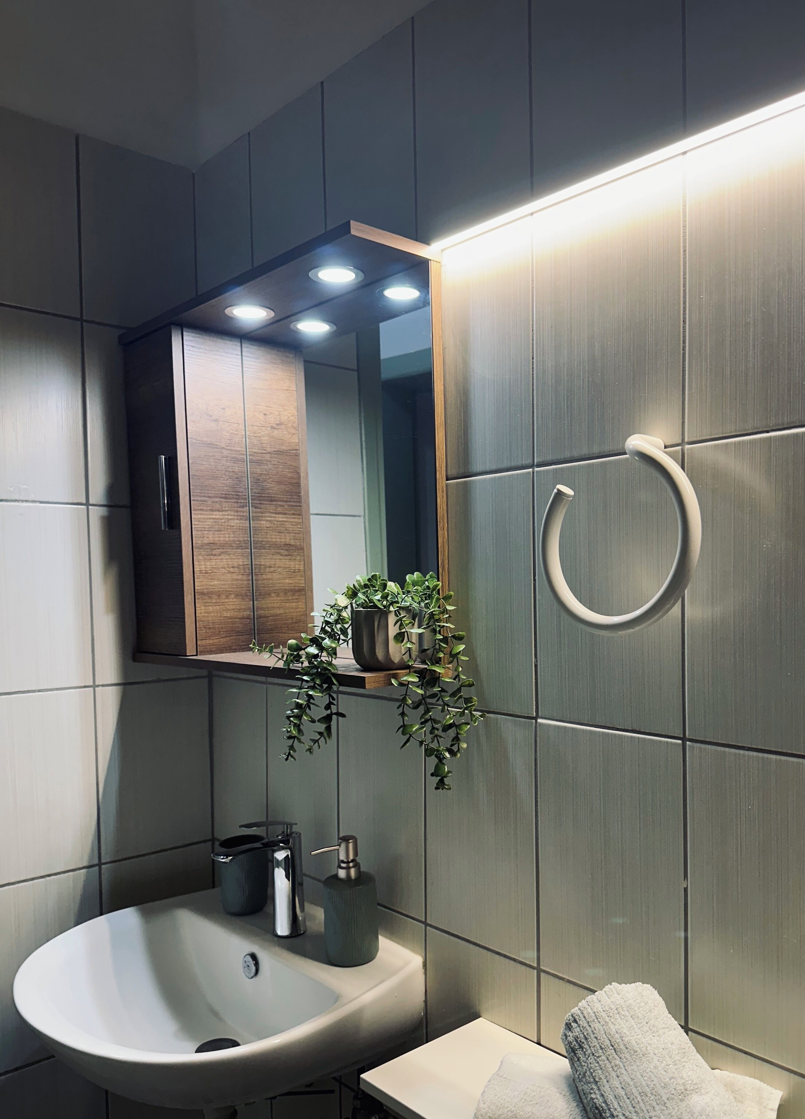 Hair dryer, towels, toilet paper