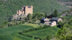 Un castillo con una torre, rodeado de campos verdes y árboles.