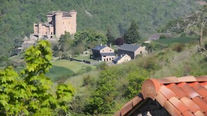 Une structure ressemblant à un château, composée de plusieurs bâtiments, entourée d’une végétation luxuriante et de collines.