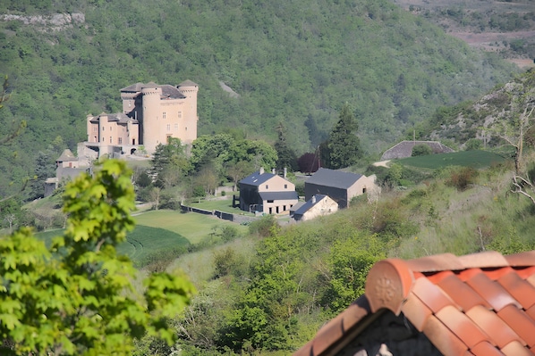 Una estructura que recuerda a un castillo, con varios edificios, rodeada de exuberante vegetación y colinas.