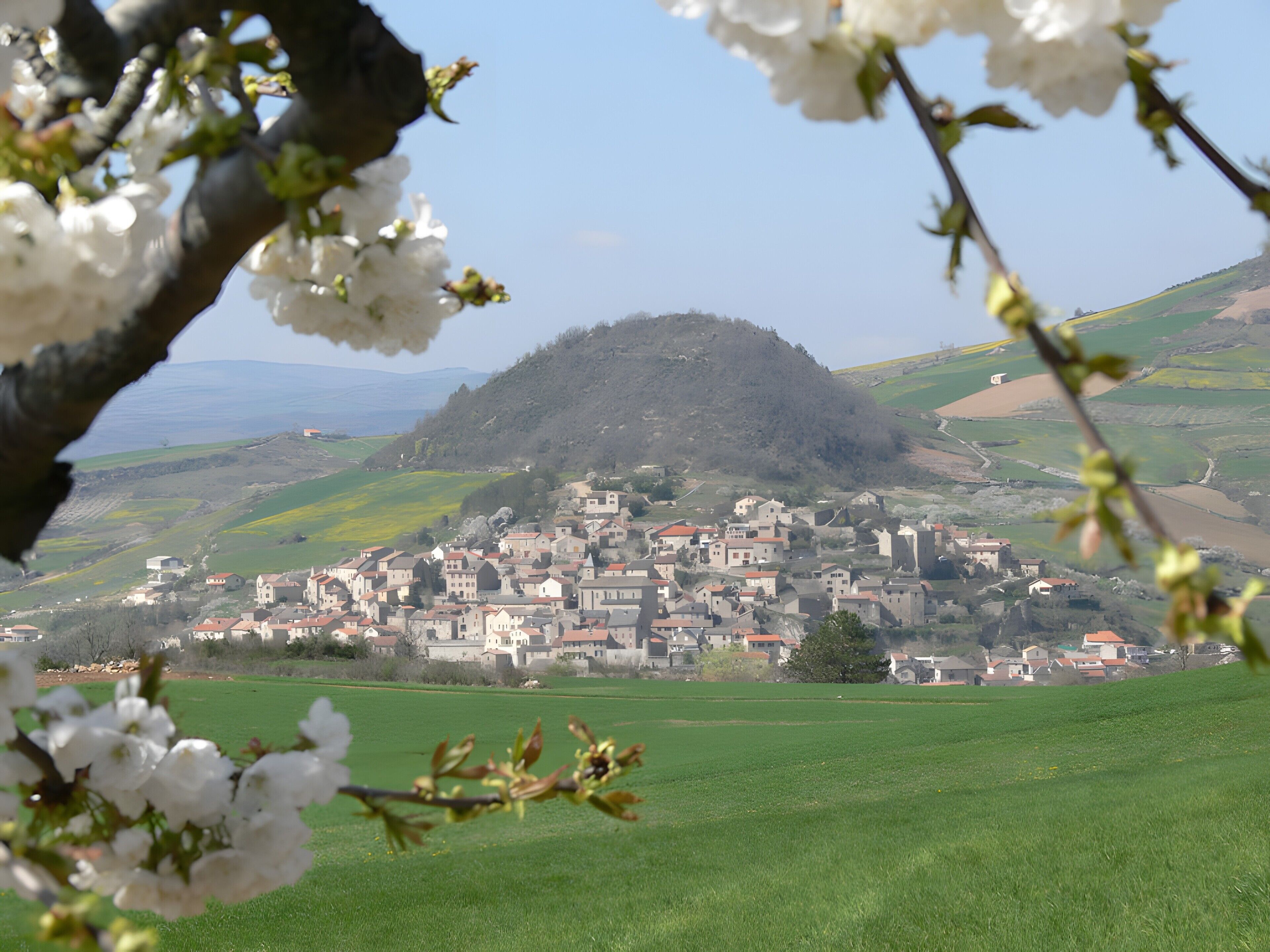 A town with a hilltop castle, surrounded by green fields and buildings with red roofs.