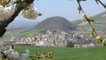 A town with a hilltop castle, surrounded by green fields and buildings with red roofs.