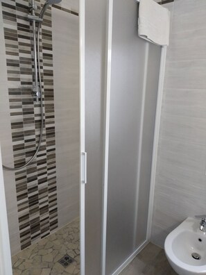 Shower, hair dryer, bidet, towels