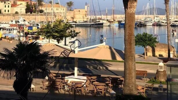 Un port de plaisance avec des bateaux, un palmier et un espace café doté de tables en plein air.