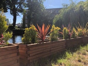 Immagine non classificata, 4 di 11, pulsante