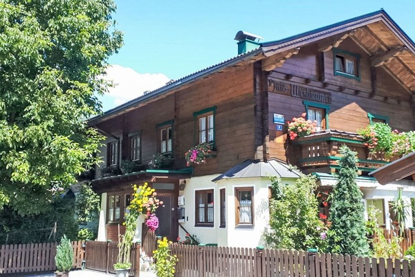 Tür, Hütte, Blumentopf, Zimmerpflanze, Markise, Balkon, Veranda