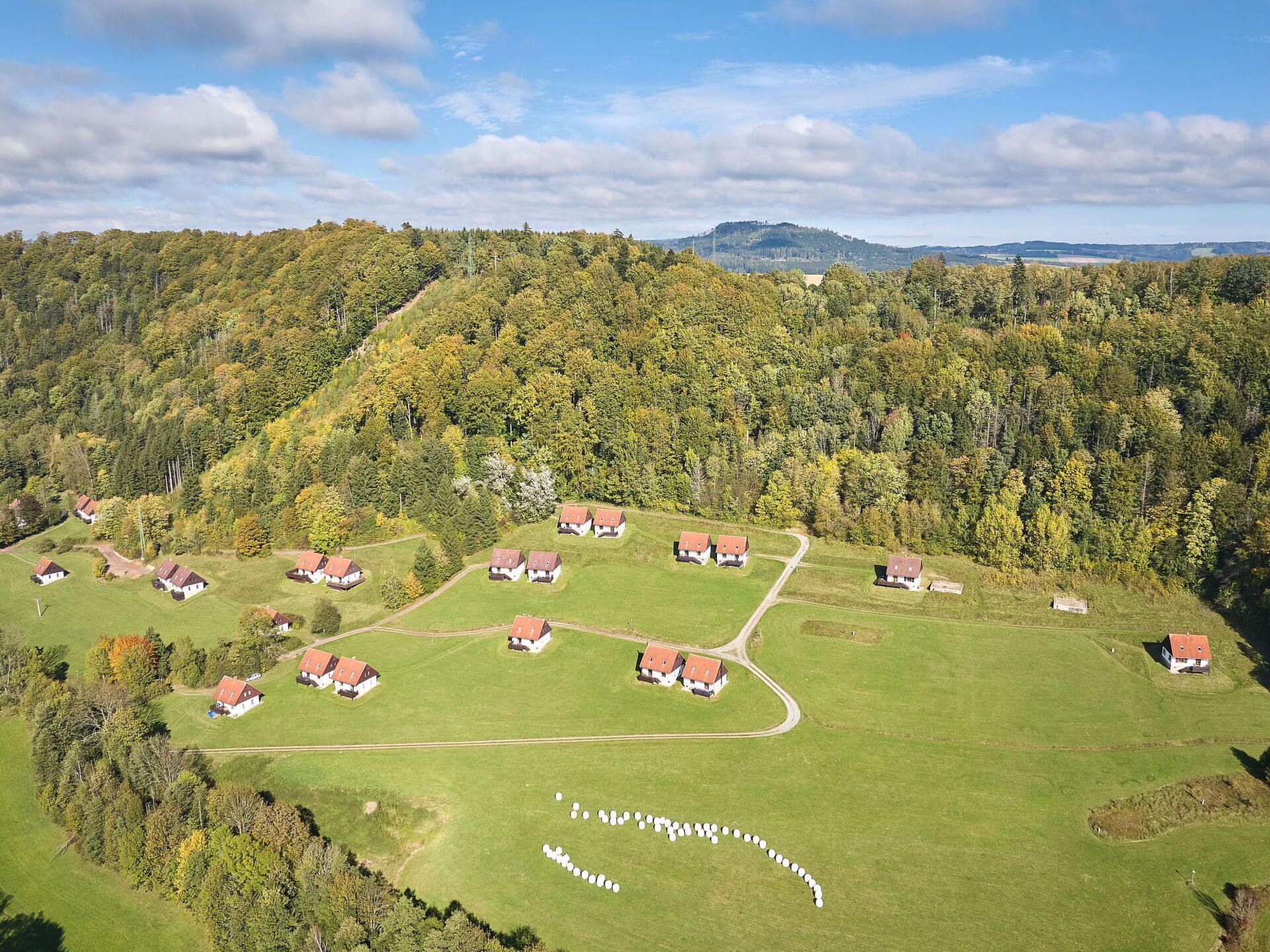 A rural landscape with houses arranged in a semi-circular pattern, surrounded by green fields and dense forests.