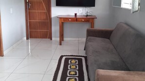 Ein Wohnzimmer mit grauem Sofa, einem Fernseher auf einem Holzboden, einer Holztür und einem gemusterten Teppich.