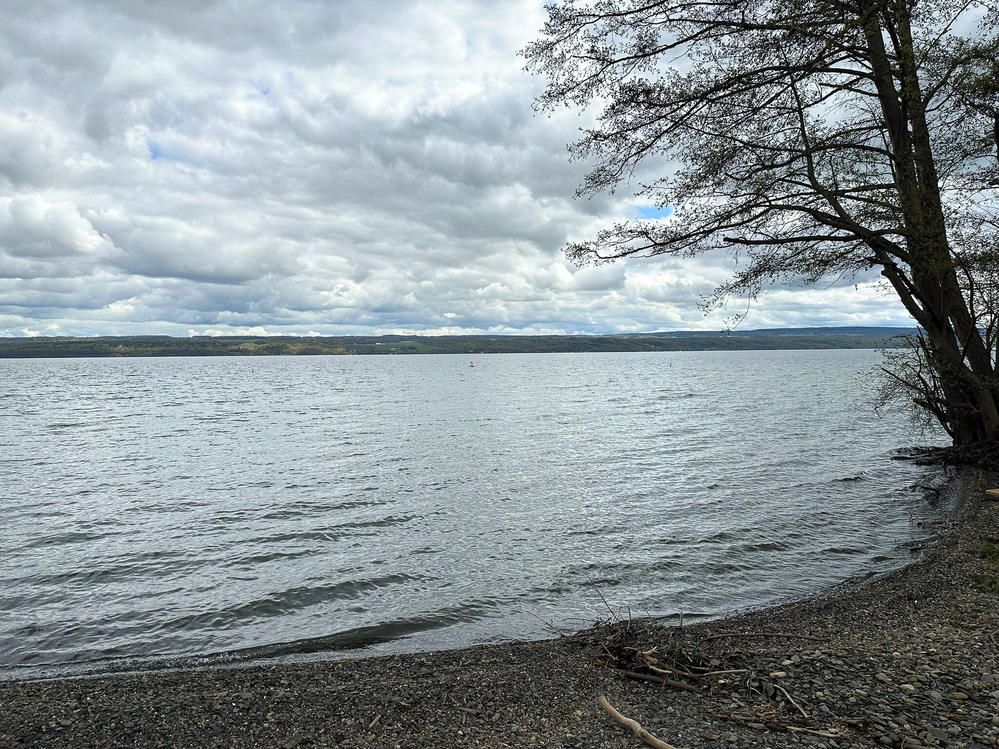 Un lac aux rives rocheuses, avec un arbre sur la droite.