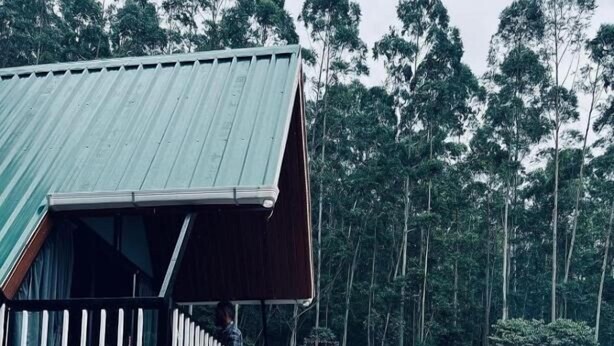 A building with multiple levels, connected by staircases, surrounded by a forest. - The Soul of vattavada (Devikolam)
