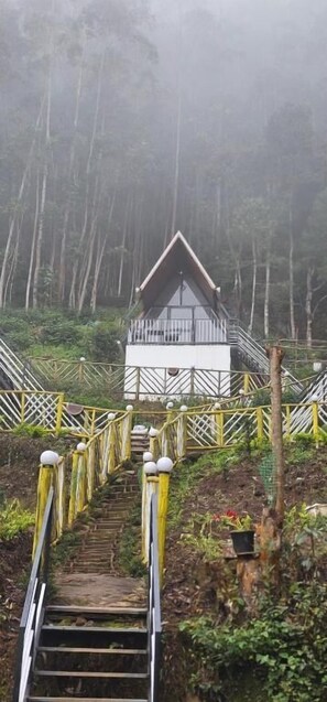 Property grounds - The Soul of vattavada (Koviloor)