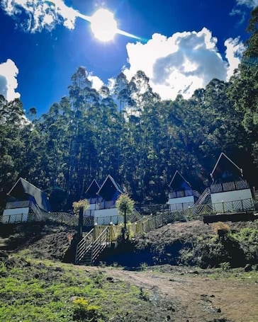 Property grounds. The Soul of vattavada