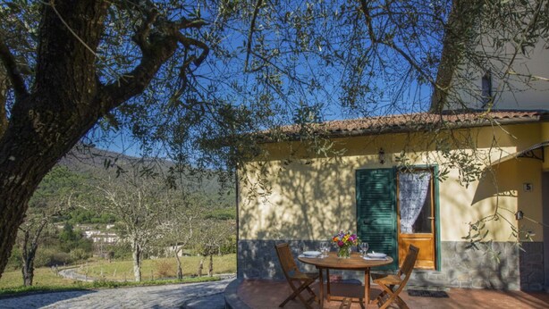 Un patio exterior acogedor con una mesa redonda y sillas, un pequeño jardín con flores coloridas, y un edificio con techo de tejas y contraventanas verdes.