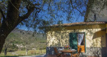 Beautiful private villa for 8 people with WIFI, TV, pets allowed and panoramic view
