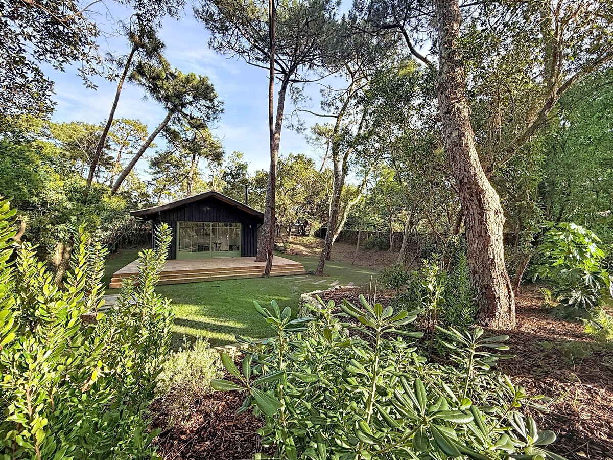 Imagen de perfil del propietario o de la propietaria