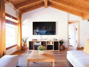 Una televisión, una chimenea