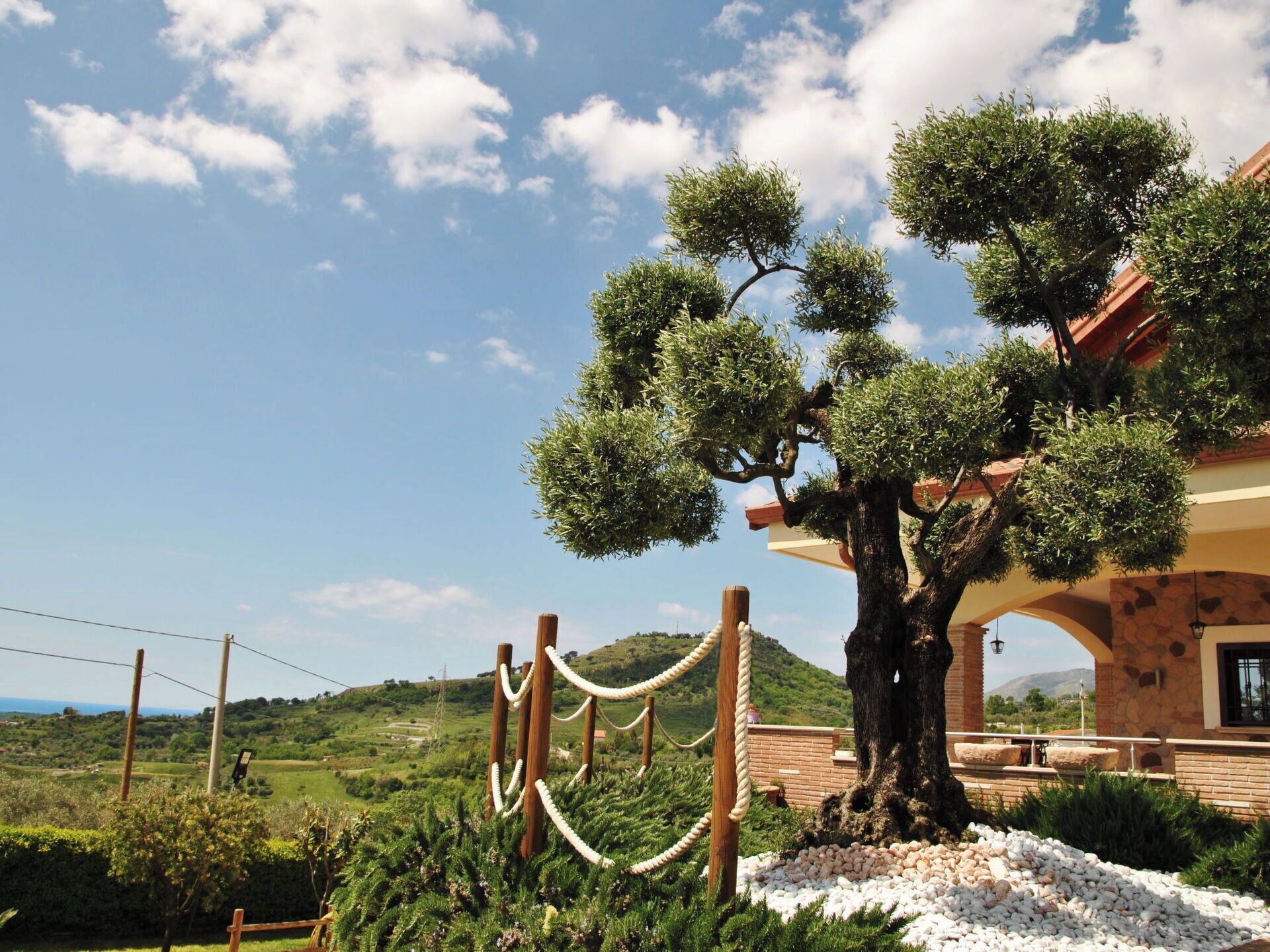 Parco della struttura