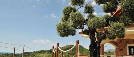 Parco della struttura