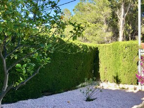 Terrain de l’hébergement 